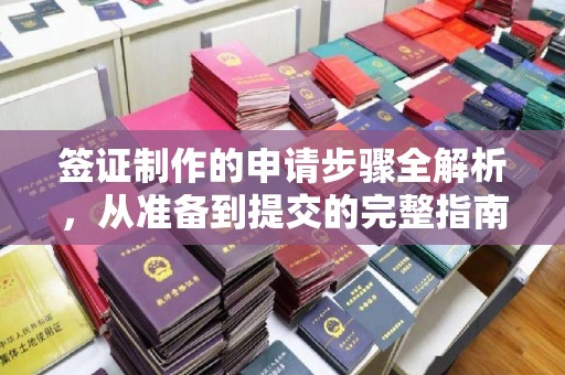 布拖签证制作的申请步骤全解析，从准备到提交的完整指南