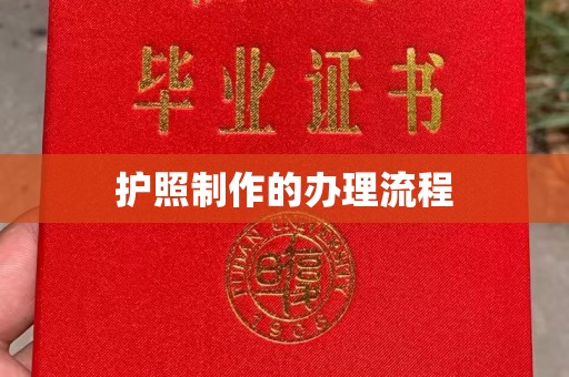 布拖护照制作的办理流程