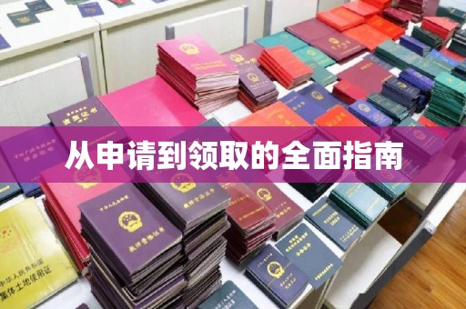 布拖从申请到领取的全面指南