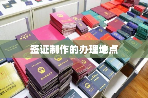 布拖签证制作的办理地点