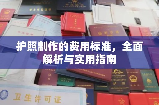 布拖护照制作的费用标准，全面解析与实用指南