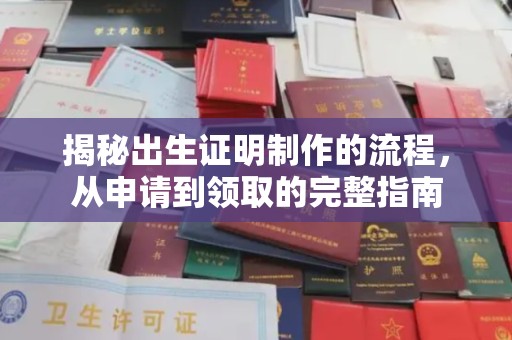 布拖揭秘出生证明制作的流程，从申请到领取的完整指南