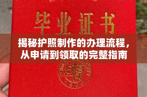 布拖揭秘护照制作的办理流程，从申请到领取的完整指南