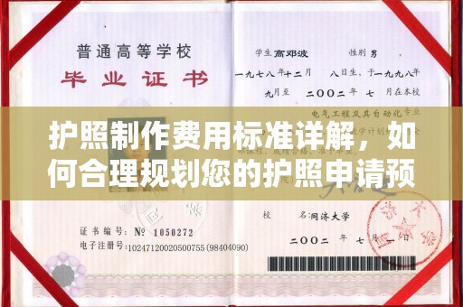 布拖护照制作费用标准详解，如何合理规划您的护照申请预算